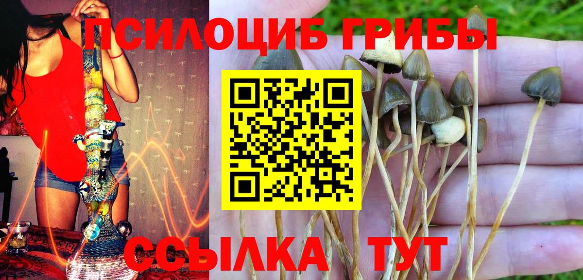 Галлюциногенные грибы мицелий Таганрог