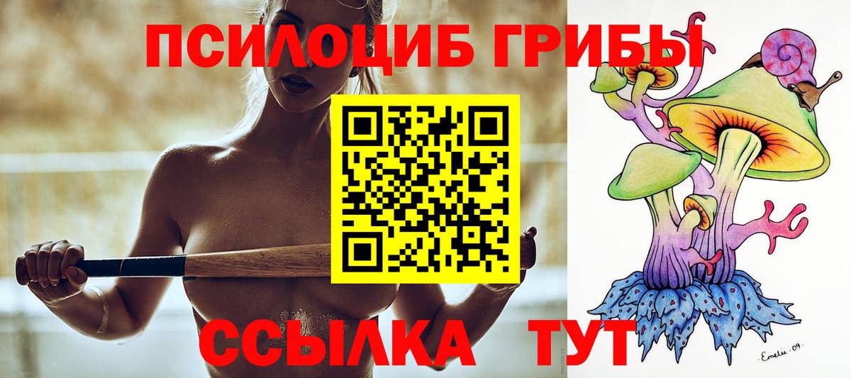 Галлюциногенные грибы Psilocybe  Псилоцибиновые грибы GOLDEN TEACHER  Вход с VPN  купить наркоту  Таганрог 